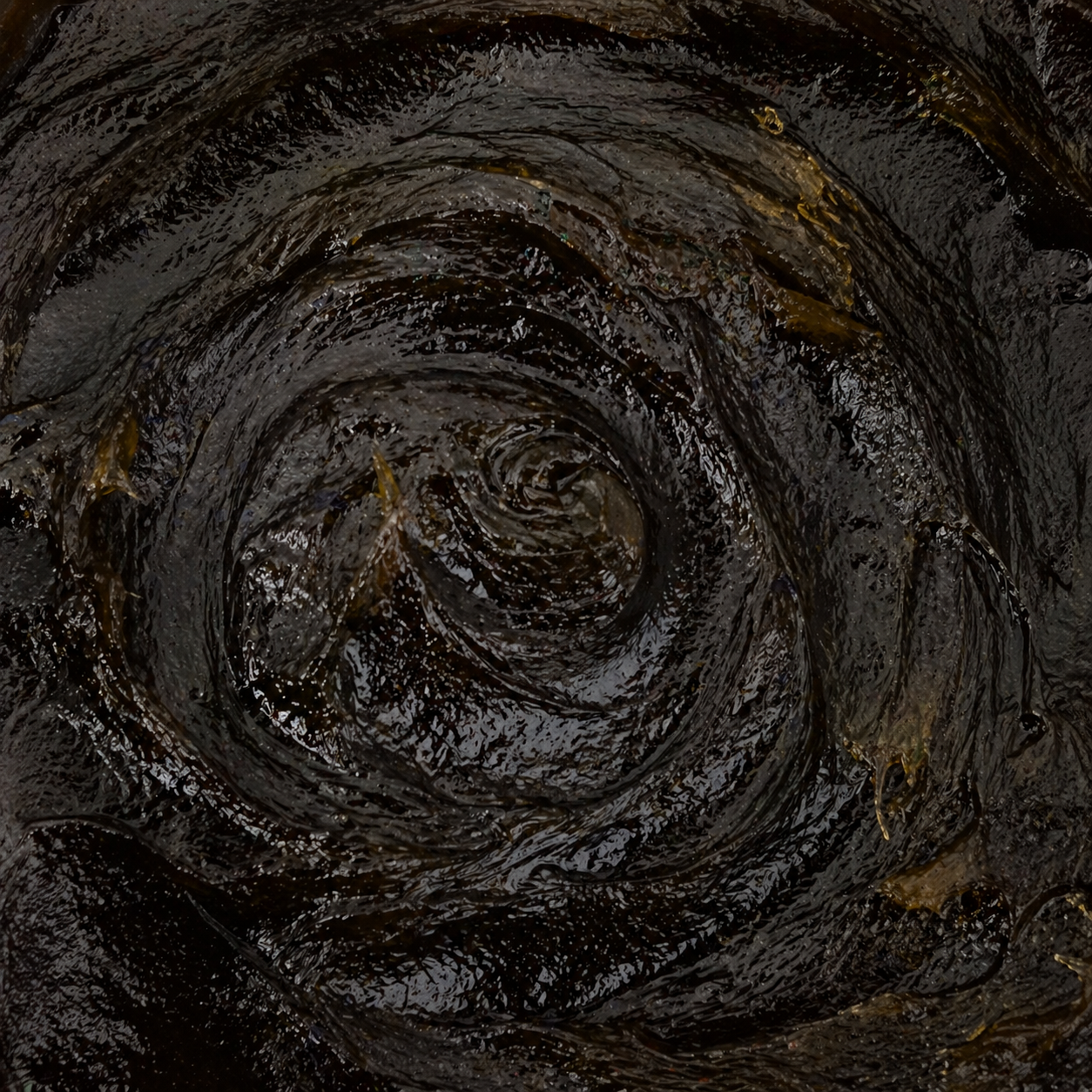 Savon Beldi Noir au Romarin — Hammam Beldi – Image 2